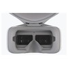 DJI Goggles